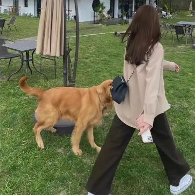 无限循环