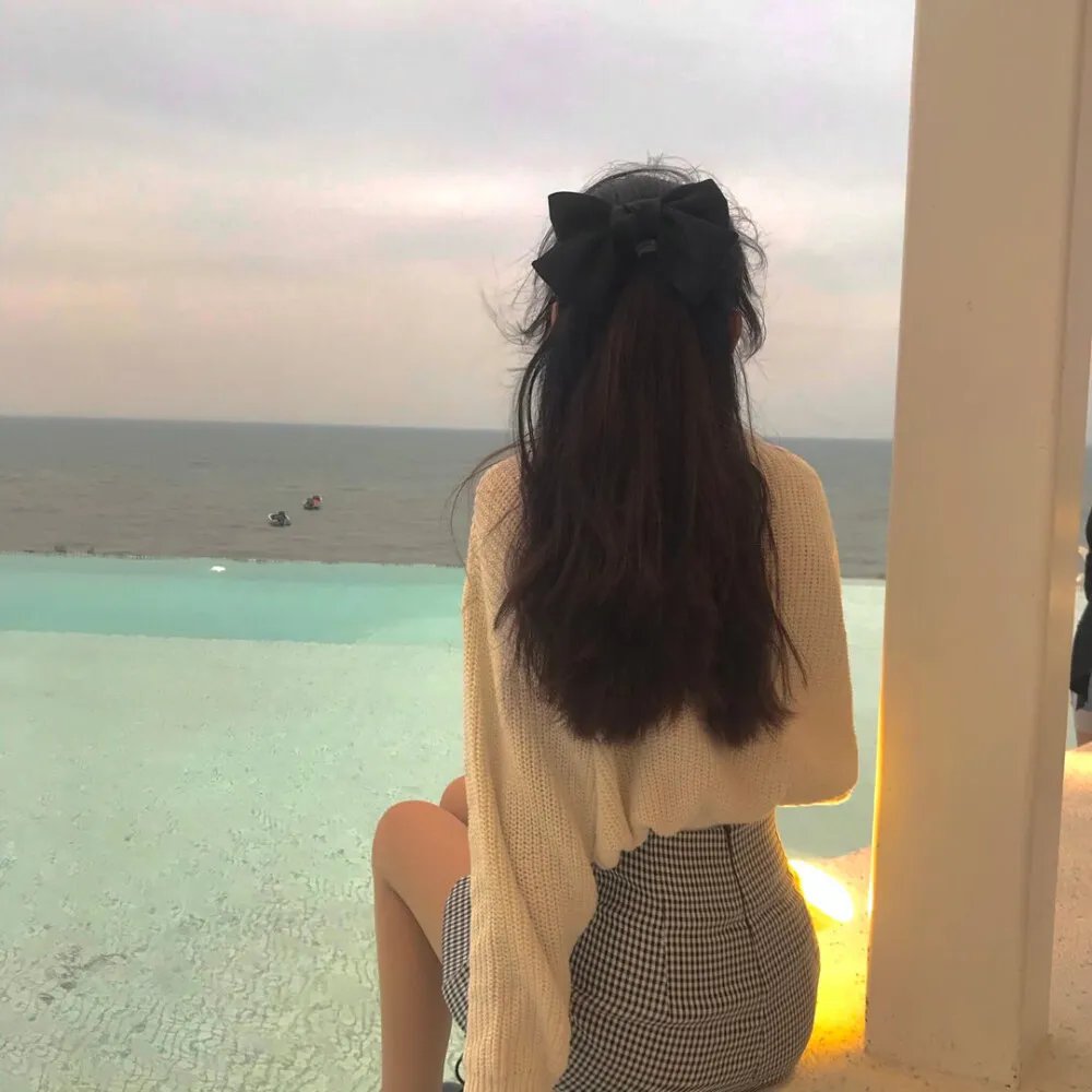 工程师普赖特的方案